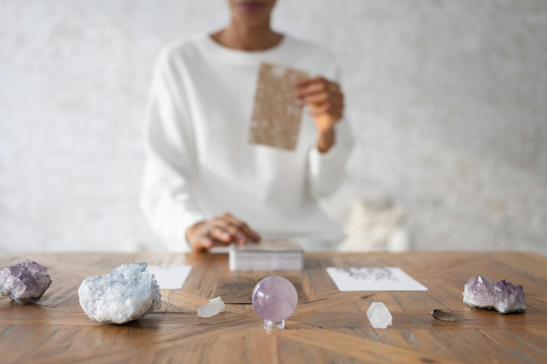 person arranging cards at small exhibition of minerals and rocks