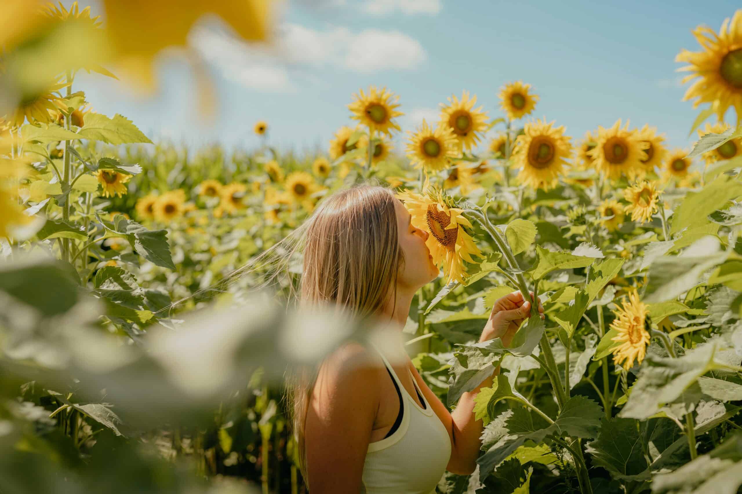 A woman smelling a sunflower in a vibrant sunflower field, symbolizing growth and positive transform.
