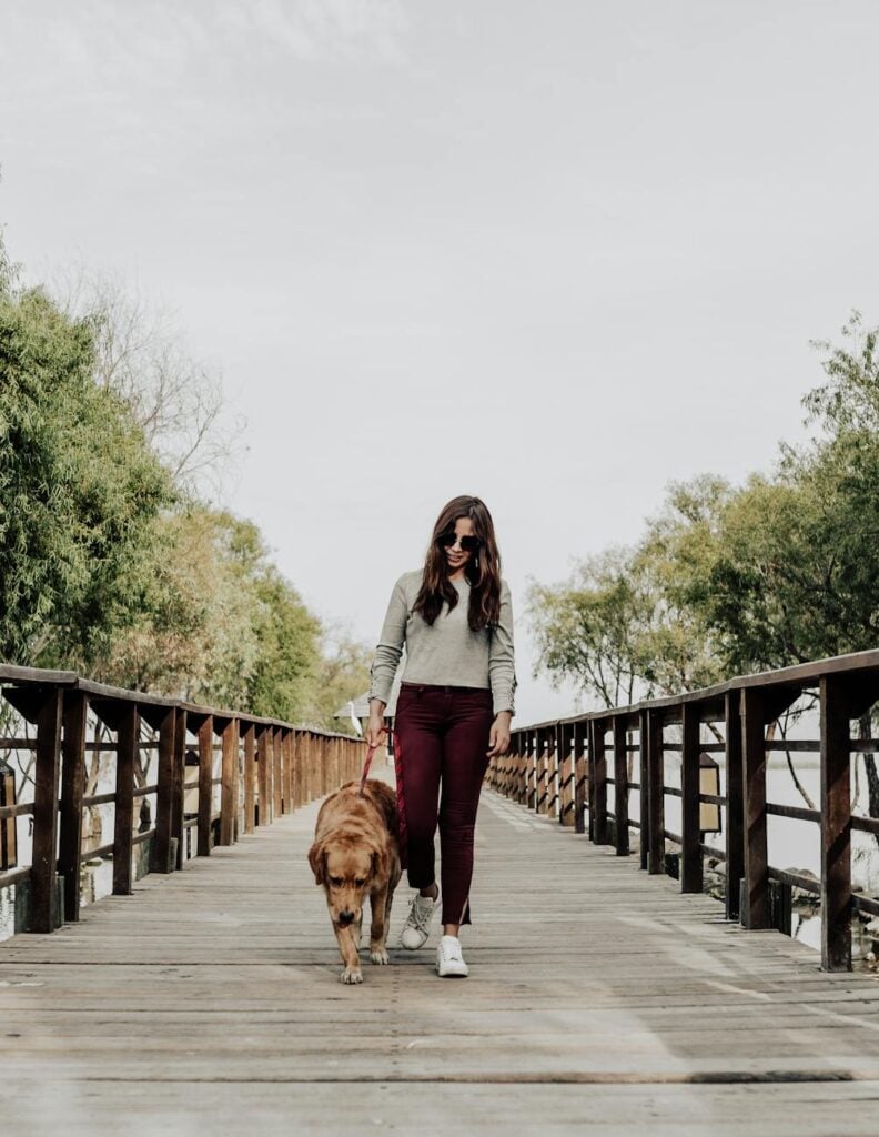 woman wearing sunglasses walking on wooden bridge with her dog
